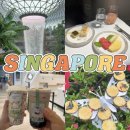 BUBBLE PARK | 싱가포르 | 여행일지 DAY 5 - 쥬얼 창이 공항 / 실버크리스 라운지 / 아시아나 비즈니스 후기