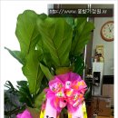 (주)더텍 Daum카페
