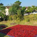 창수농장 이미지