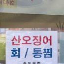추도우럭 이미지