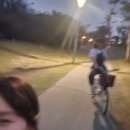 석남우리약국 | 250118~19 데이식스 가오슝 여행후기 Day1