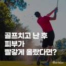 쁘띠팰리스(삼척점) 이미지