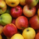 연세사랑모아여성병원 이미지