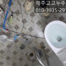 서귀포우리공인중개사사무소 | 제주서귀포시 양변기 막힘 뚫음 공인중개사관리건물