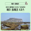 식산봉의 황근자생지 및 상록활엽수림 | 제주 올레길 2코스 광치기 해변에서 오조 포구 식산봉 탐방기