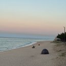 사천해변 이미지