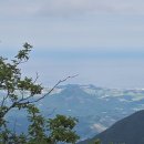 나무쉼터 이미지