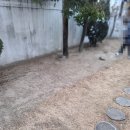 세봄공인중개사사무소 이미지