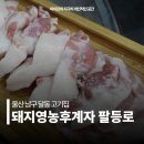 돼지영농후계자 상봉점 | 울산 신정동 맛집 돼지영농후계자 남구 고깃집 달동 고기집 꼬들목살 회식장소