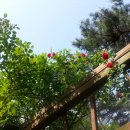 농심작은도서관 이미지