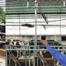 김성규농장 이미지