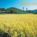 하랑한의원 이미지