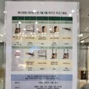 서구-02-65 | 둔산동 필라테스 메디앤컬필라테스 대전둔산점