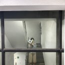 옴시롱감시롱순대국