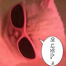 파주로(1) | 파주 당일치기 후기1~근현대사 박물관~