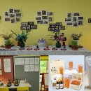 태기산치유마을 이미지