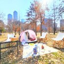 순복음금정교회 앞 버스정류장 앞 | 여의도 벚꽃 텐트 대여 노블피크닉 후기｜윤중로 한강 피크닉, 돗자리·텐트 대여까지 한 번에 해결...