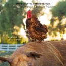 상영농장 이미지