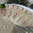 11305-9-196-1 | 영종도횟집 맛집 | 회떠가는집 | 회킬러가 소개하는 찐후기