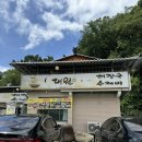 경북 고령 대원식당 인삼도토리수제비 내돈내산 포장후기