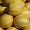 성주푸드 이미지