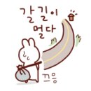 쁘띠몽드철원점 이미지