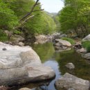 세심자연휴양림 이미지