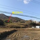 금곡초교 이미지