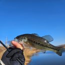 하수종말처리장 입구 | 26년 첫 출조, 문경 하수종말처리장에서 일어난 일 | 영하 12도 최강 한파에도 배스 5마리 + 월척 붕어