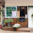 아리랜드 이미지