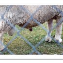 일탈을꿈꾸며 이미지