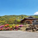 구례 지리산 리조트 이미지