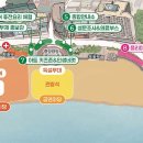 청년고등어 이미지