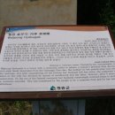 경주이씨 효부각 이미지