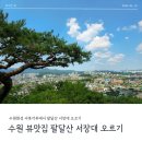 UR(화성시)-[은행나무로]-하-1 | 수원화성 도시뷰 전망을 볼 수 있는 팔달산 서장대 등산 코스 추천 - 서북각루에서 서장대를 지나 화성...