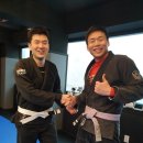 격투창고 MMA 이미지