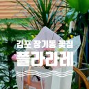 플라라레 이미지