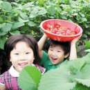 경석농장 이미지