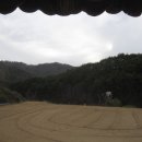 월현로3 이미지