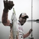 금강컴퍼니 이미지