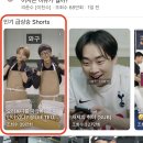 와이디플러스