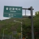 밀양시청