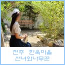 까멜리아in선녀가나무꾼 | 전주 한옥마을 경성의상, 옛날교복 대여 선녀와나무꾼