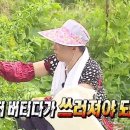 바이오포톤테라피 이미지