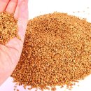 너만볼개 이미지