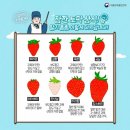 비타민에듀 이미지