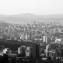 강남부동산중개사무소 이미지