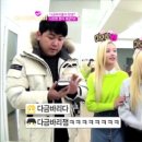마이비