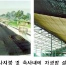 광선축사 이미지