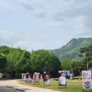 문경 국가무형문화재 전수관 | 24년 문경찻사발축제 후기 🍵🎉 : 체험존, 먹거리(feat. 6시 내고향)